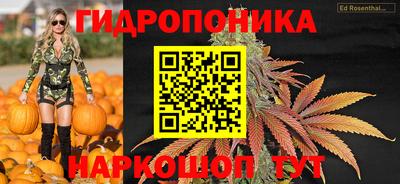 твердый Кимры